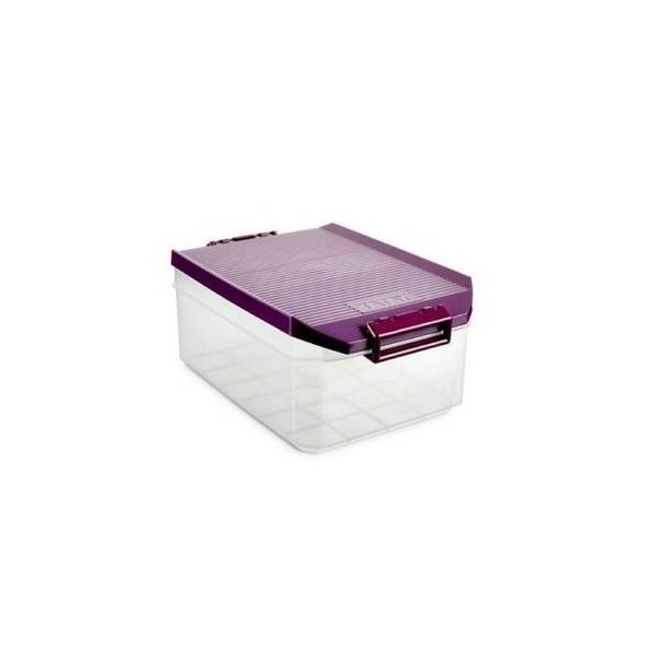 CAJA ORDEN MULTI 19,2X29,7X12,4CM 4,5LT PL MOR TAT