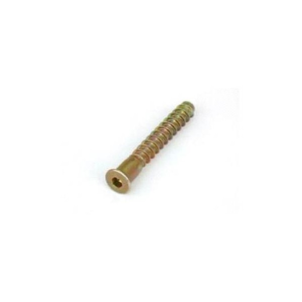 TORNILLO ENSAMBLAR 05x050MM BICROMAT. SPAX 200 PZ